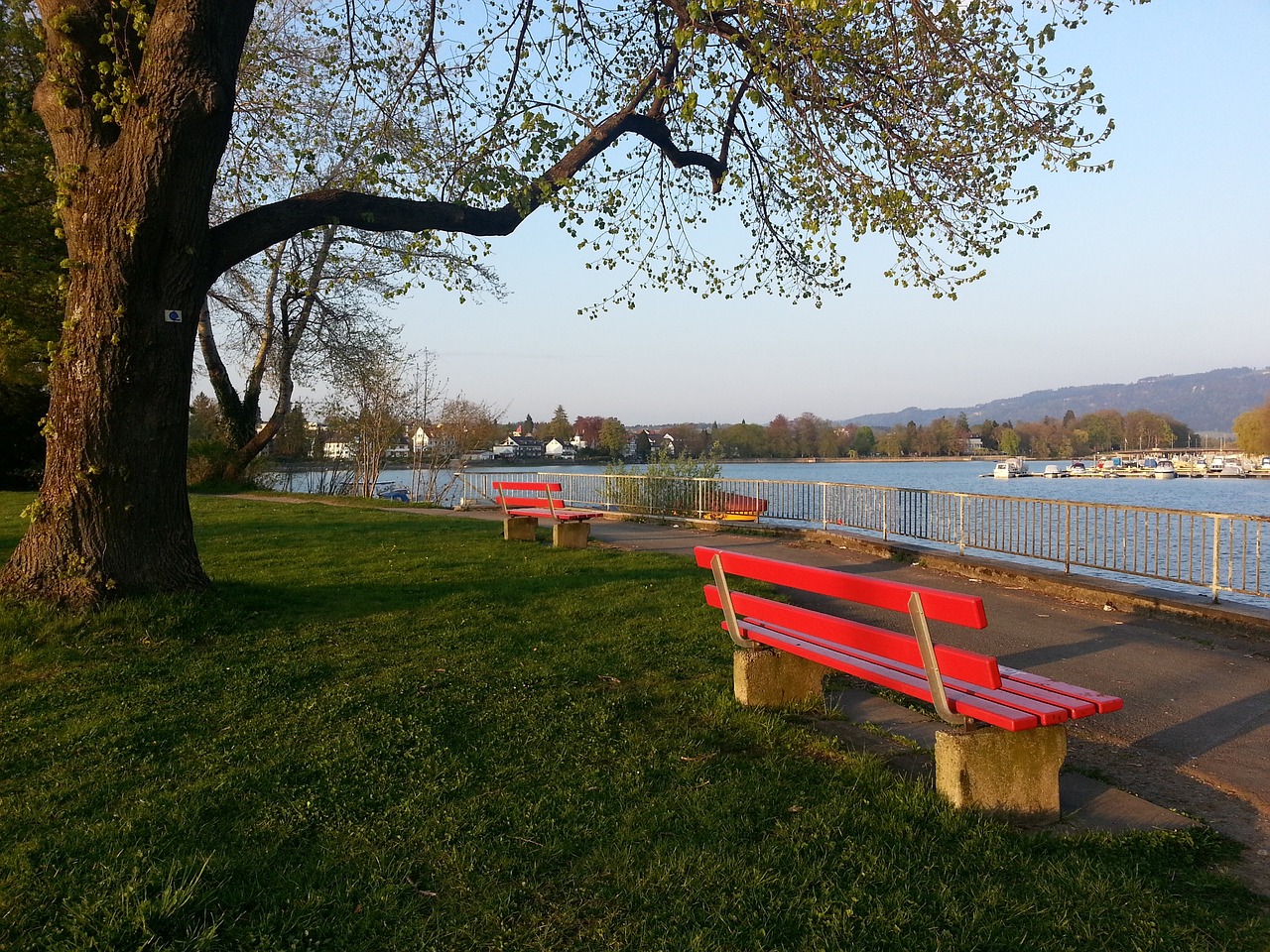 会越来越意 会越来越意
