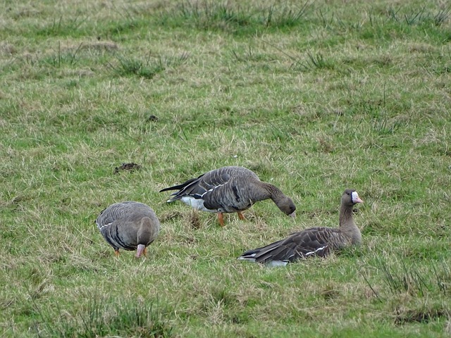 擁有一名穩 擁有一名穩