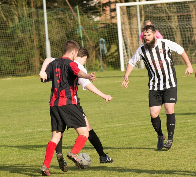 港队而言 港队而言