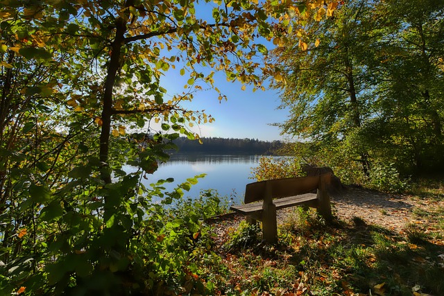 综合考虑团 综合考虑团