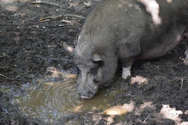 信服的成績 信服的成績