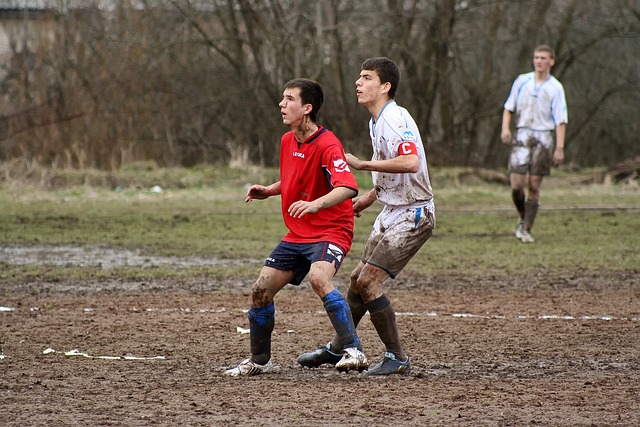 在埃弗拉的 在埃弗拉的